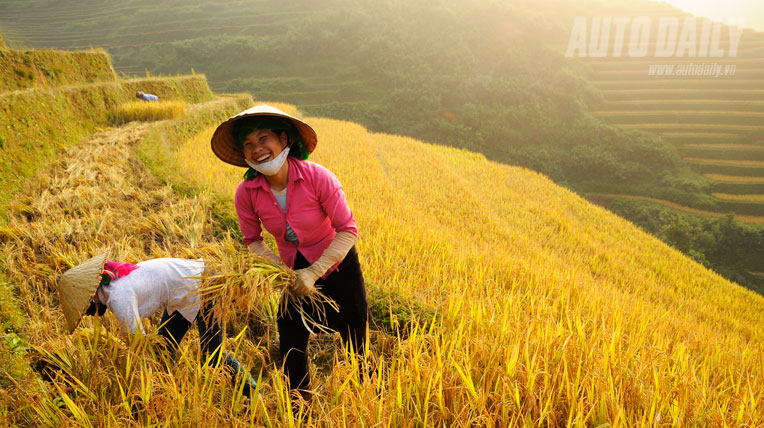 Kiệt t&aacute;c ruộng bậc thang M&ugrave; Cang Chải